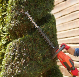 Portrait of a professional gardener