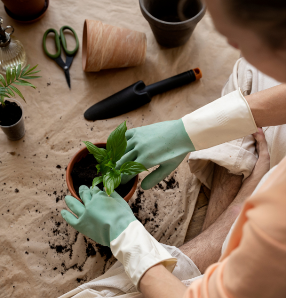 Soil Enrichment