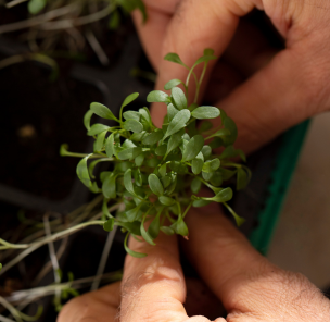 Portrait of a soil enrichment expert